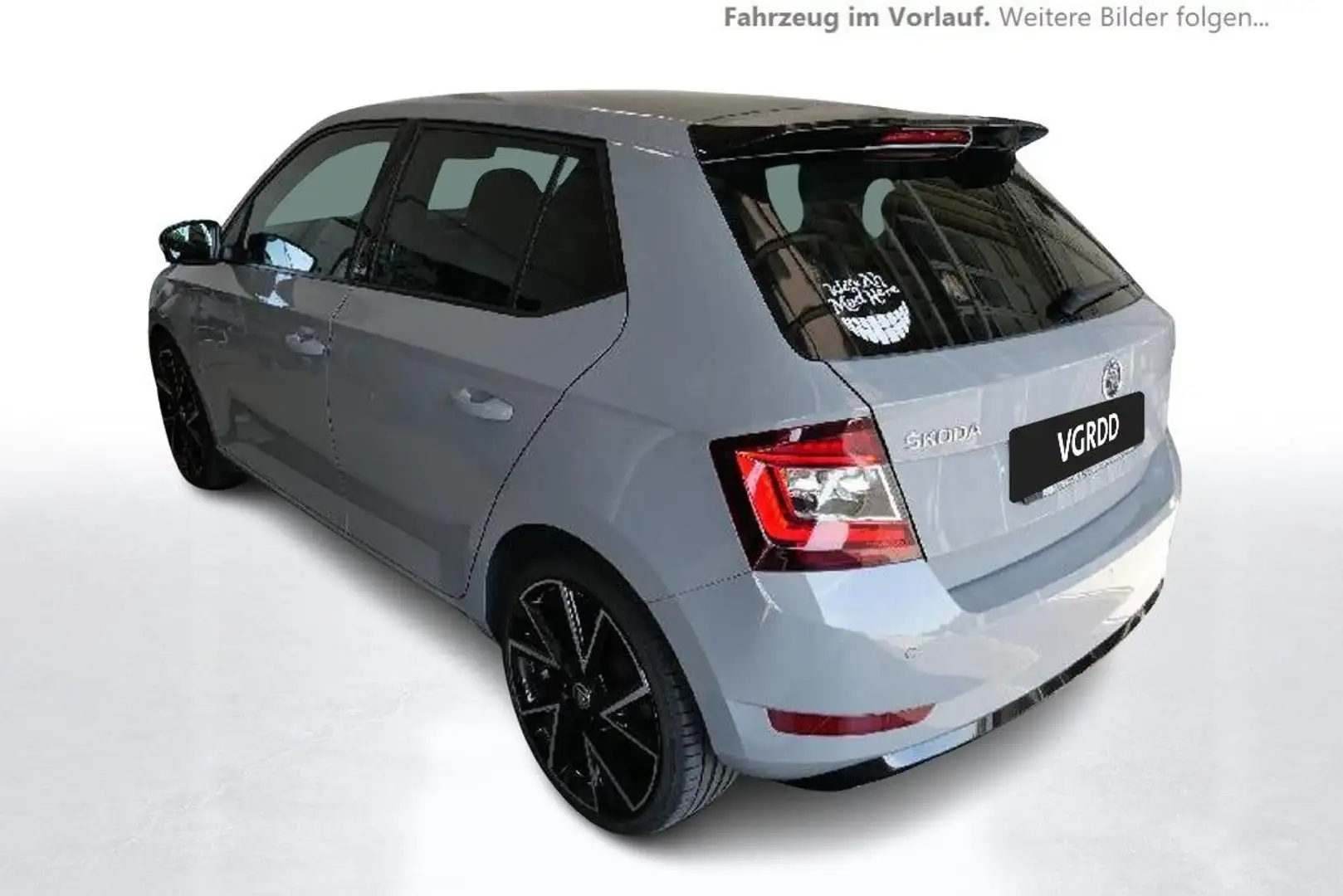 Skoda Fabia Monte Carlo Grijs - 2