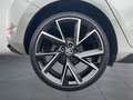 Skoda Fabia Monte Carlo Grau - thumbnail 16