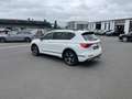 SEAT Tarraco 2.0 TDI DSG 4Drive FR-Line 225€ m. 20% Anzahlung Weiß - thumbnail 9