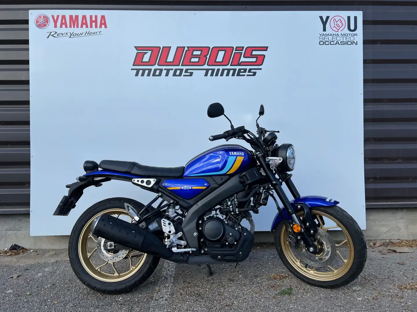 Yamaha XSR 125 Bleu - 1