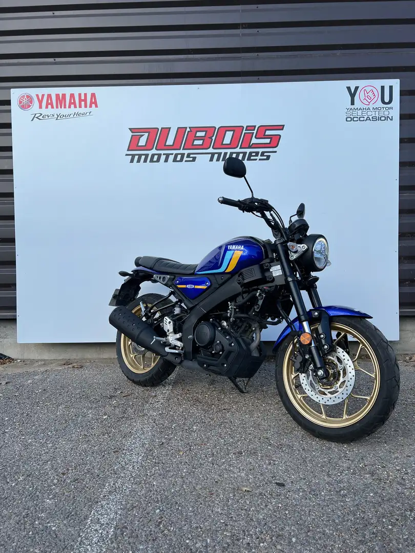 Yamaha XSR 125 Bleu - 2