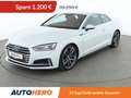 Audi S5 3.0 V6 TFSI quattro Aut.*NAVI*LED*ACC*CAM*PDC* Weiß - thumbnail 1