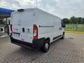 Fiat Ducato l2h1 metano coibentato - thumbnail 3