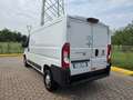 Fiat Ducato l2h1 metano coibentato - thumbnail 4