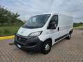 Fiat Ducato l2h1 metano coibentato - thumbnail 1