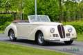 Oldtimer Delahaye 135 MS Worblaufen cabriolet Beige - thumbnail 4