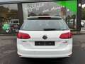 Volkswagen Golf VII Variant Comfortline BlueMotion CNG Bílá - thumbnail 4