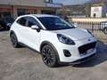 Ford Puma Puma 1.0 125CV ecoboost Titanium s (km 40000) Weiß - thumbnail 1