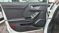 Ford Puma Puma 1.0 125CV ecoboost Titanium s (km 40000) Weiß - thumbnail 17