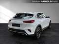 Kia XCeed Xceed 1.5 T-GDI Vision DCT7 Komfort Navi Kamera Weiß - thumbnail 5