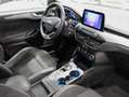 Ford Focus SW 1.5 ecoblue Business  120 CV - automatica Gris - thumbnail 12