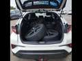 Toyota C-HR C-HIC Bianco - thumbnail 12