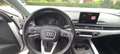 Audi A4 allroad A4 Allroad 2.0 tdi Business . 190cv s-tronic my16 Bianco - thumbnail 7