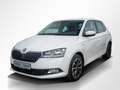 Skoda Fabia Drive 1.0TSI PDC/KLIMA/ALU - thumbnail 14