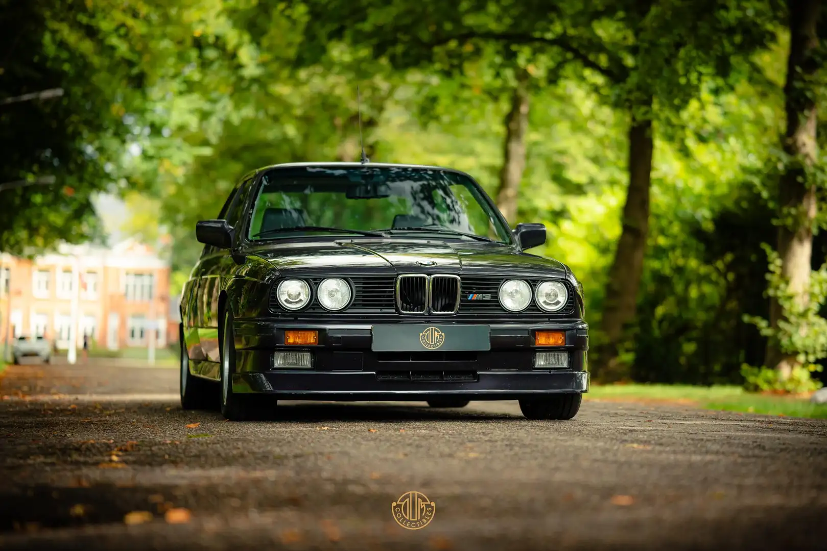 BMW M3 3-serie Cecotto 1 of 50 Blue - 2