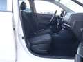 Kia Picanto 1.0 CVVT ComfortPlusLine Navigator / Cruise / Came Blanco - thumbnail 14