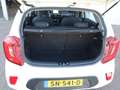 Kia Picanto 1.0 CVVT ComfortPlusLine Navigator / Cruise / Came Blanco - thumbnail 19