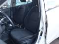 Kia Picanto 1.0 CVVT ComfortPlusLine Navigator / Cruise / Came Blanco - thumbnail 7