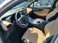 Hyundai SANTA FE Luxury Line 2,2l Diesel 4WD Automatik Argent - thumbnail 12