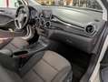 Mercedes-Benz B 180 B 180 cdi Executive auto White - thumbnail 12