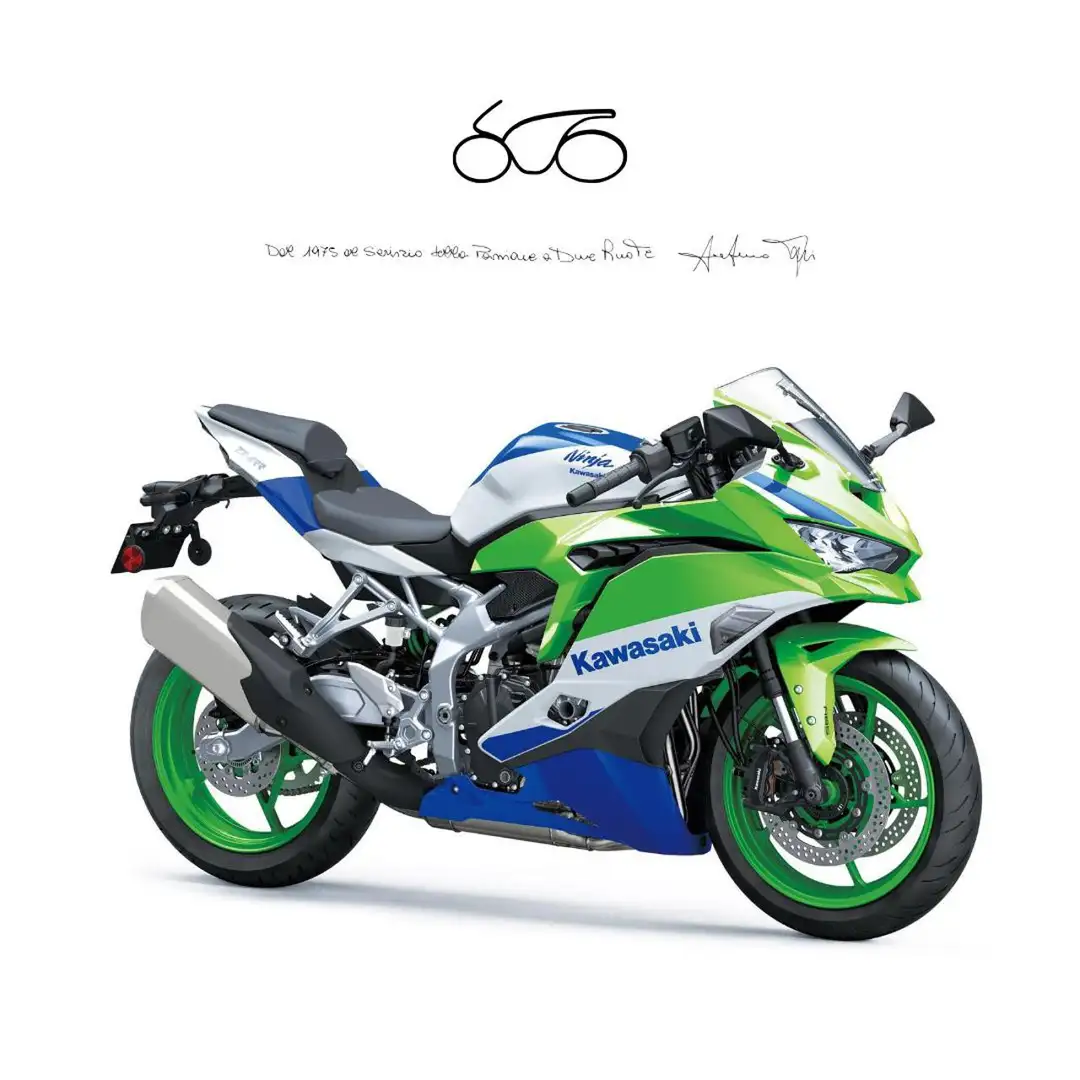 Kawasaki Ninja ZX-4RR . - 1