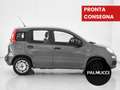 Fiat Panda 1.0 FireFly S&S Hybrid - thumbnail 3