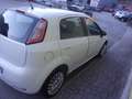 Fiat Punto III 2012 5p 1.2 Easy-UNICO PROPRIETARIO!!! Blanc - thumbnail 4