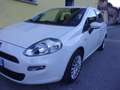 Fiat Punto III 2012 5p 1.2 Easy-UNICO PROPRIETARIO!!! Blanc - thumbnail 13