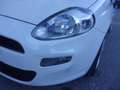 Fiat Punto III 2012 5p 1.2 Easy-UNICO PROPRIETARIO!!! Blanc - thumbnail 12