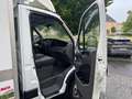 Iveco Daily 50C17L+ TIEFKÜHL KOFFERAUFBAU ++ ÖAMTC TE... Weiß - thumbnail 16