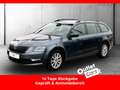 Skoda Octavia Combi 2.0 TDI 4X4 Style DSG AHK+LED+NAVI Grau - thumbnail 1