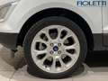 Ford EcoSport 1.0 ECOBOOST 125 CV START&STOP TITANIUM Bianco - thumbnail 11