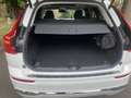 Volvo XC60 XC60 II 2022 2.0 b4 Inscription awd auto-TETTO- Bianco - thumbnail 8