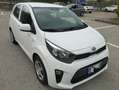 Kia Picanto Picanto III 2018 1.0 Cool my Bianco - thumbnail 7