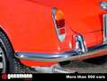 Alfa Romeo Giulia 1600 Spider Red - thumbnail 9