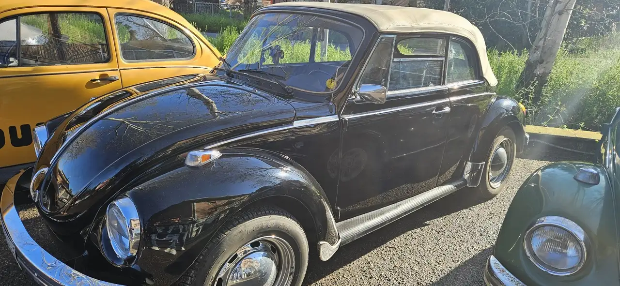 Volkswagen Maggiolino 1.2 L (messico), foto 5