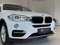 BMW X6 xDrive30d Sport Coupé Österreich-Paket Aut. // ... Weiß - thumbnail 8