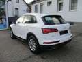 Audi Q5 2.0 TDI quattro advanced *2.Hand/Navi/Xenon* Weiß - thumbnail 6