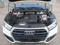 Audi Q5 2.0 TDI quattro advanced *2.Hand/Navi/Xenon* Weiß - thumbnail 18