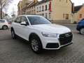 Audi Q5 2.0 TDI quattro advanced *2.Hand/Navi/Xenon* Weiß - thumbnail 3