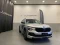 Skoda Kamiq Kamiq 1.0 TSI 115 CV Black Dots Argento - thumbnail 1