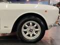 Alfa Romeo 1600 GT JUNIOR COUPE BERTONE Blanco - thumbnail 8