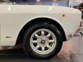 Alfa Romeo 1600 GT JUNIOR COUPE BERTONE Weiß - thumbnail 8