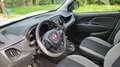 Fiat Doblo Doblo 1.6 mjt 16v Easy s White - thumbnail 3