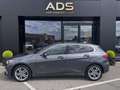 BMW 116 d Luxury Line Gris - thumbnail 11