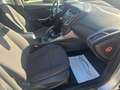 Ford Focus Turnier Champions Edition Silber - thumbnail 15