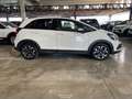 Honda Jazz 1.5 Crosstar eCVT Executive - thumbnail 4