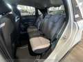 Honda Jazz 1.5 Crosstar eCVT Executive - thumbnail 12