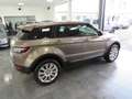 Land Rover Range Rover Evoque 2.2 Sd4 AWD Automatik "Pure" Beige - thumbnail 3