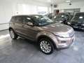 Land Rover Range Rover Evoque 2.2 Sd4 AWD Automatik "Pure" Beige - thumbnail 4